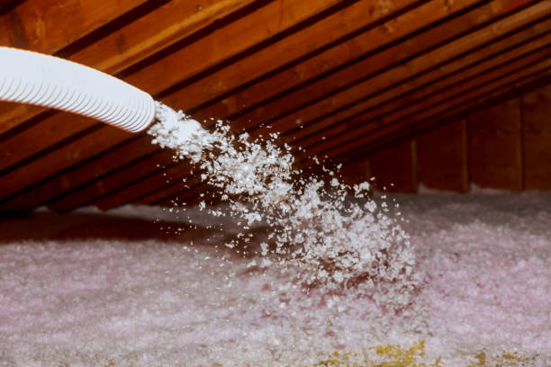 Best Commercial Insulation in Guadalupe, CA