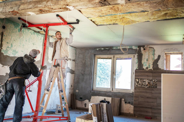 Best Cellulose Insulation in Guadalupe, CA